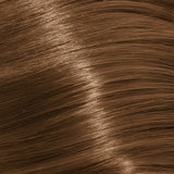 Schwarzkopf Igora Royal Permanent Colour Absolutes 7-50 Medium Blonde Gold Natural 60ml
