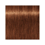 Schwarzkopf Igora Royal Permanent Colour 7-76 Medium Blonde Copper Chocolate 60ml