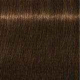 Schwarzkopf Igora Royal Permanent Colour Absolutes 7-140 Medium Blonde Cendré Beige Natural 60ml