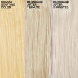 Redken Color Extend Blondage Purple Shampoo 300ml