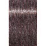 Schwarzkopf Igora Royal Permanent Colour 8-19 Light Blonde Cendré Violet 60ml