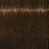 Schwarzkopf Igora Royal Permanent Colour Absolutes 7-140 Medium Blonde Cendré Beige Natural 60ml