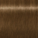 Schwarzkopf Igora Royal Permanent Colour Absolutes 9-140 Extra Light Blonde Cendré Beige Natural 60ml