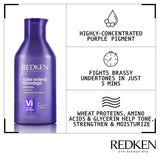 Redken Color Extend Blondage Purple Shampoo 300ml