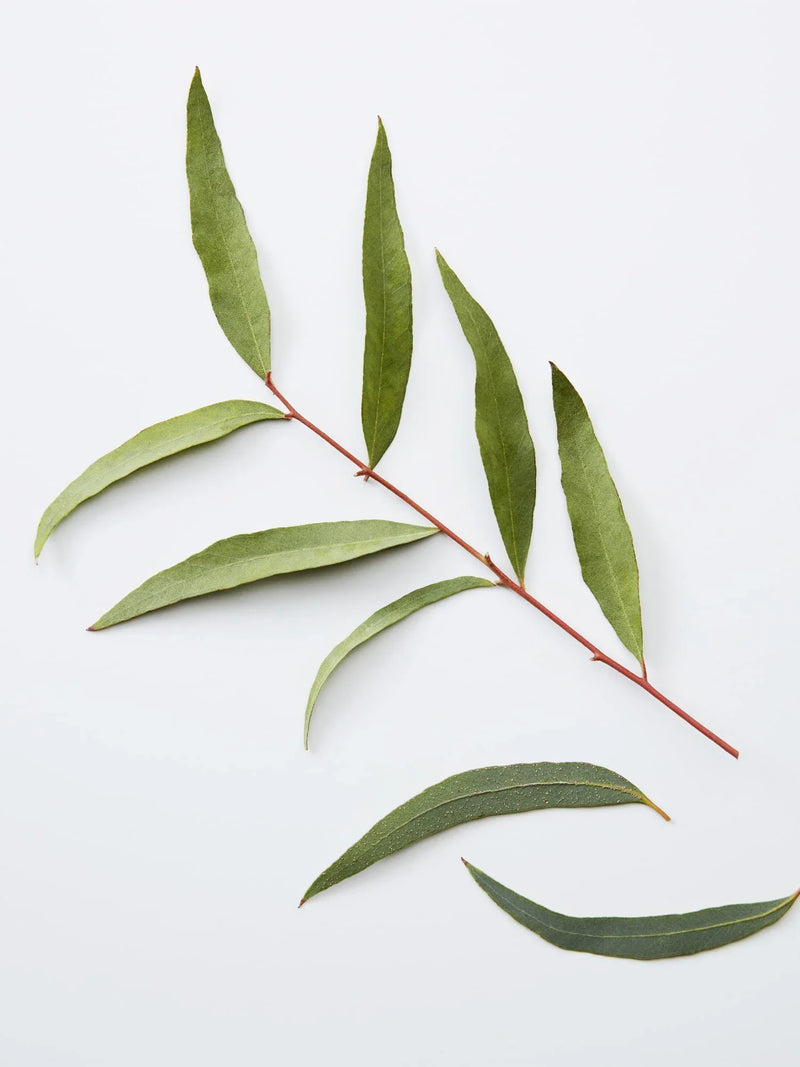 American Crew 3-In-1 Relaxing Chamomile + Pine Shampoo Conditioner and Body Wash 450ml