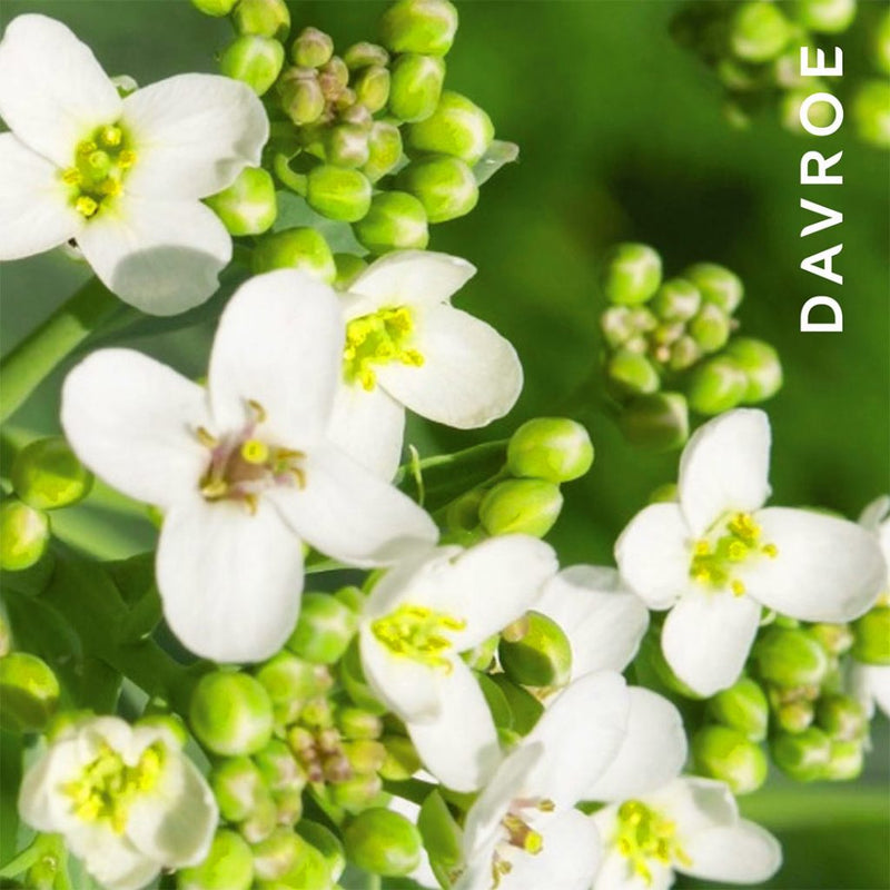 Davroe Smoothing Balm 150ml