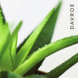 Davroe Smooth Senses Anti-Frizz Shampoo 325ml