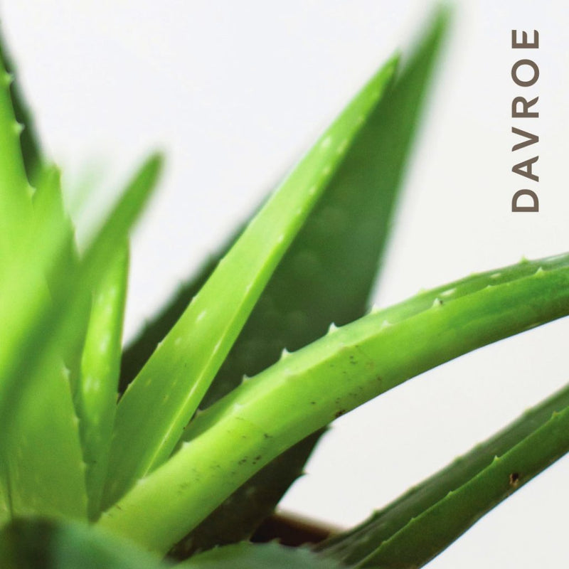 Davroe Smooth Senses Anti-Frizz Shampoo & Conditioner 325ml