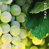 Davroe MCT Moisture Conditioning Treatment 1 Litre