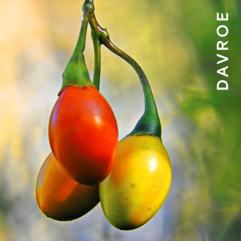 Davroe Murray River Salt Spray 200ml