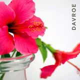 Davroe Repair Senses Revitalizing Conditioner 1 Litre