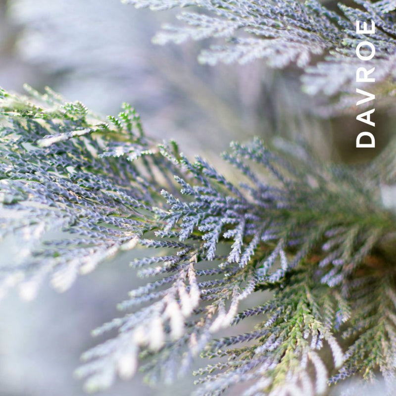 Davroe Fortitude Strengthening Conditioner 325ml