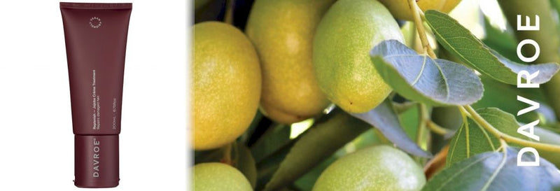 Davroe Replenish Jojoba Creme Treatment 200ml