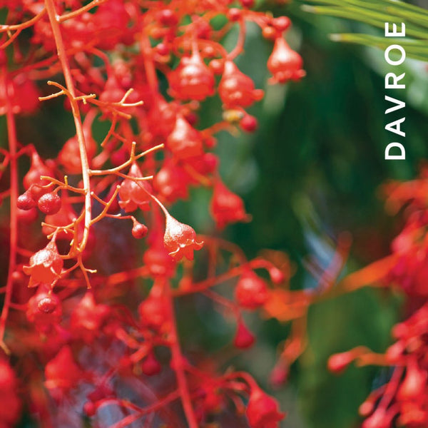 Davroe Body And Face Cleansing Gel 300ml