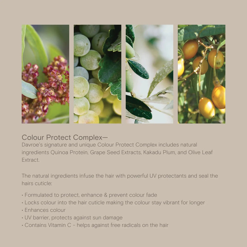 Davroe Curlicue Holiday Gift Bag