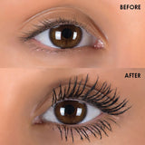 Silk Oil of Morocco Argan Fibre Lash Mascara Kit - Beautopia Hair & Beauty