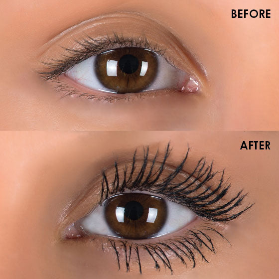 Silk Oil of Morocco Argan Fibre Lash Mascara Kit - Beautopia Hair & Beauty