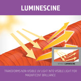 Goldwell Dualsenses Blondes & Highlights Anti Yellow Shampoo 300ml