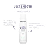 Goldwell Dualsenses Just Smooth Taming Conditioner 300ml