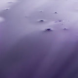 Milk_Shake Silver Shine Shampoo 300ml