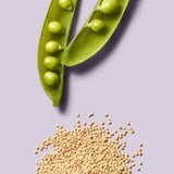 Paul Mitchell Clean Beauty Repair Shampoo 250ml - Salon Style