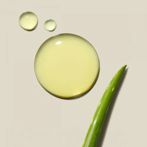 Paul Mitchell Clean Beauty Everyday Shampoo & Conditioner 250ml Duo