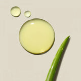 Paul Mitchell Clean Beauty Everyday Shampoo & Conditioner 1 Litre Duo