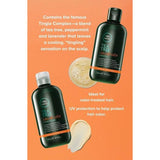 Paul Mitchell Tea Tree Special Colour Shampoo & Conditioner 300ml Duo