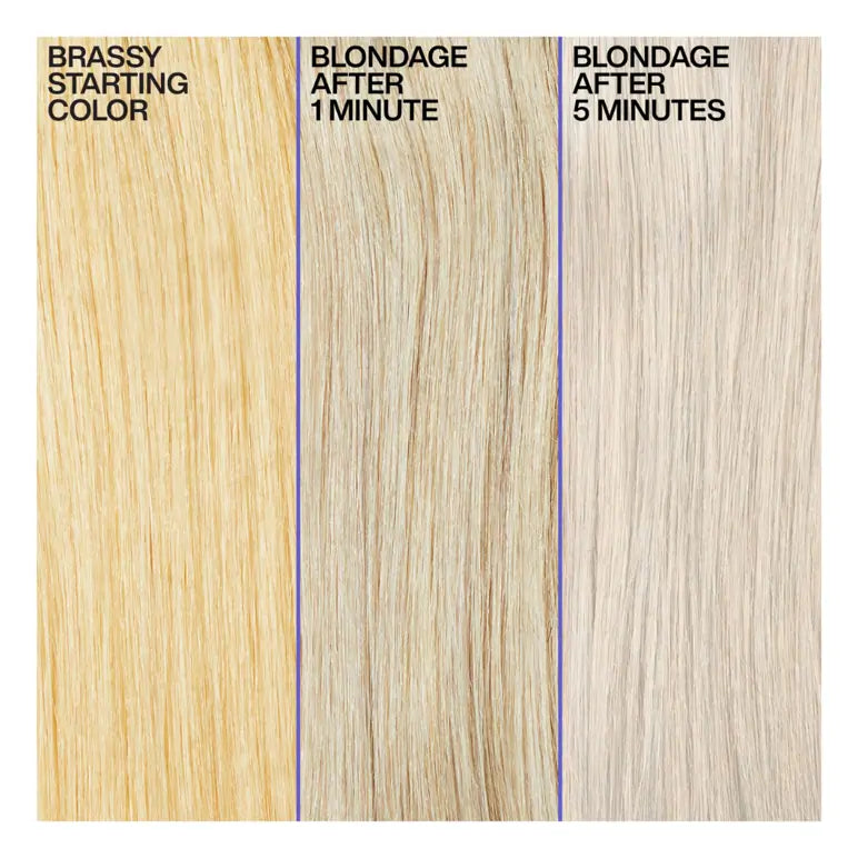 Redken Color Extend Blondage Duo Gift Pack