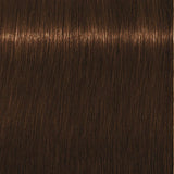 Schwarzkopf Igora Royal Permanent Colour Absolutes 7-460 Medium Blonde Beige Chocolate Natural 60ml