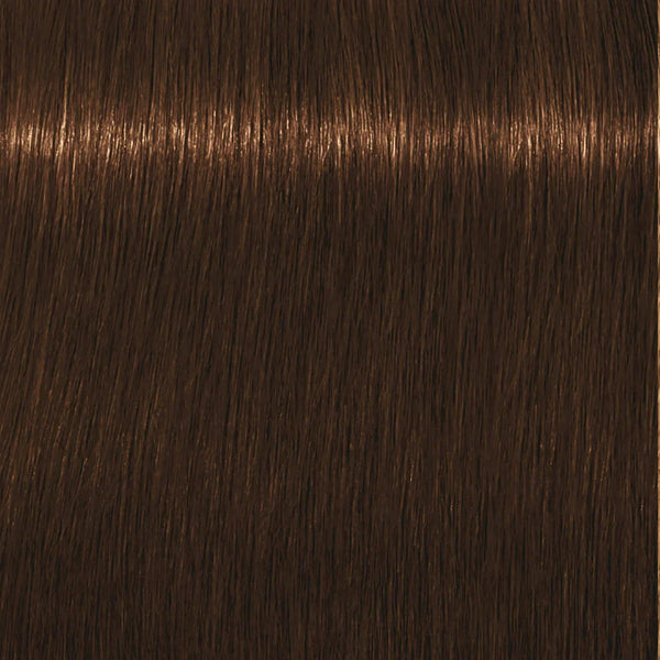 Schwarzkopf Igora Royal Permanent Colour Absolutes 7-460 Medium Blonde Beige Chocolate Natural 60ml