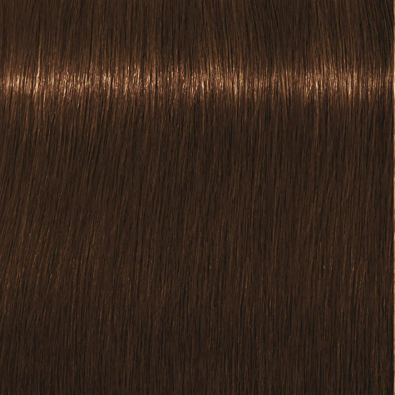 Schwarzkopf Igora Royal Permanent Colour Absolutes 7-460 Medium Blonde Beige Chocolate Natural 60ml