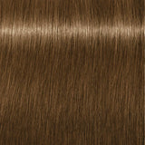 Schwarzkopf Igora Royal Permanent Colour Absolutes 9-140 Extra Light Blonde Cendré Beige Natural 60ml