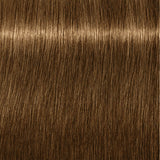 Schwarzkopf Igora Royal Permanent Colour Absolutes 9-460 Extra Light Blonde Beige Chocolate Natural 60ml