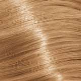 Schwarzkopf Igora Royal Permanent Colour Absolutes 9-50 Extra Light Blonde Gold Natural 60ml