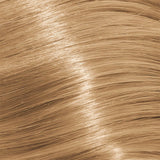 Schwarzkopf Igora Royal Permanent Colour Absolutes 9-560 Extra Light Blonde Gold Chocolate Natural 60ml