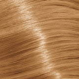 Schwarzkopf Igora Royal Permanent Colour Absolutes 9-60 Extra Light Blonde Chocolate Natural 60ml