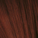 Schwarzkopf Igora Royal Permanent Colour 4-88 Medium Brown Red Extra 60ml