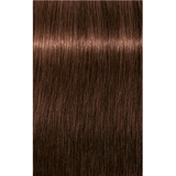 Schwarzkopf Igora Royal Permanent Colour 5-6 Light Brown Chocolate 60ml