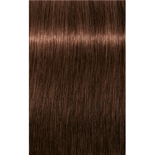 Schwarzkopf Igora Royal Permanent Colour 5-6 Light Brown Chocolate 60ml