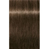 Schwarzkopf Igora Royal Permanent Colour 6-00 Dark Blonde Natural Extra 60ml