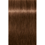 Schwarzkopf Igora Royal Permanent Colour 6-65 Dark Blonde Chocolate Gold 60ml