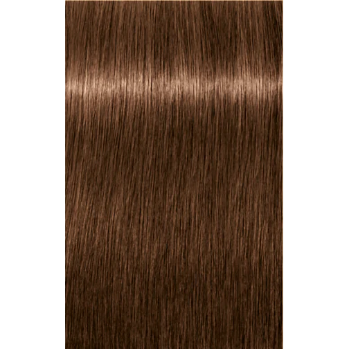 Schwarzkopf Igora Royal Permanent Colour 6-65 Dark Blonde Chocolate Gold 60ml