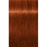 Schwarzkopf Igora Royal Permanent Colour 6-77 Dark Blonde Copper Extra 60ml