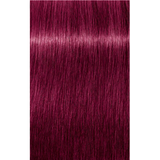 Schwarzkopf Igora Royal Permanent Colour Booster 0-89 Red Violet 60ml