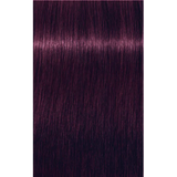 Schwarzkopf Igora Royal Permanent Colour Booster 0-99 Violet 60ml