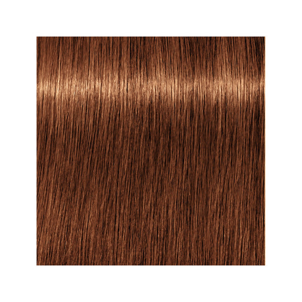 Schwarzkopf Igora Royal Permanent Colour 7-76 Medium Blonde Copper Chocolate 60ml
