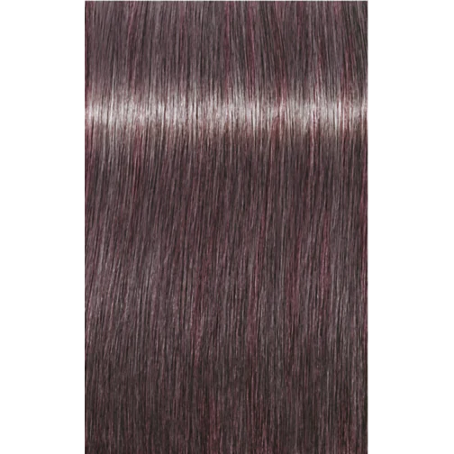 Schwarzkopf Igora Royal Permanent Colour 8-19 Light Blonde Cendré Violet 60ml
