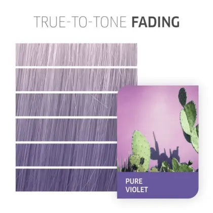 Wella Color Fresh Create Pure Violet 60ml