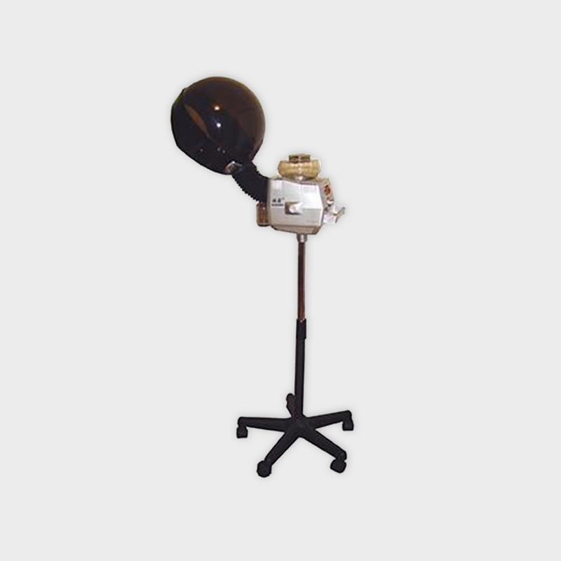 Chaoba Ionic Hair Steamer - Beautopia Hair & Beauty